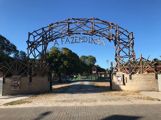 Vivo Porto de Galinhas - Passeio a cavalo Haras Maracaipe