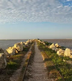 Sugestões iFriend