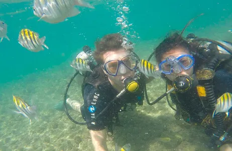 Brasil Tour Buceo con tabla - Ilha do Caitá
