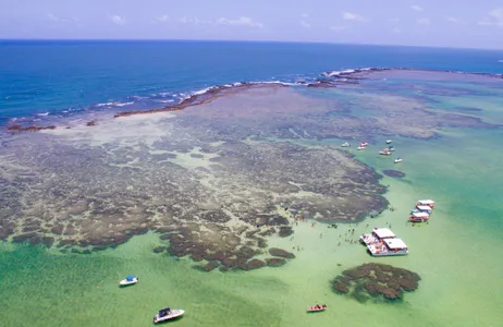 Boa Viagem Tour Passeio a Maragogi saindo de hotéis em Boa Viagem e Piedade 