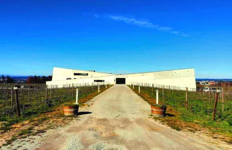 Punta Cana Tour Traslado privado Aeropuerto Punta Cana/Hotel Uvero Alto (1/6 personas)