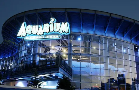 Denver Ticket Downtown Aquarium Denver: ingresso