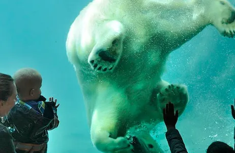 Róterdam Ticket Zoológico de Roterdã: bilhete sem filas