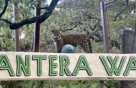 San Antonio Ticket Ingresso flexível para qualquer dia do San Antonio Zoo