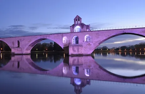 Avignon Ticket Palácio dos Papas e Pont d'Avignon