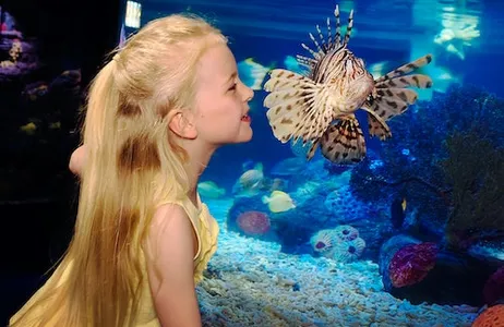 Scheveningen Ticket SEA LIFE Scheveningen: bilhete de entrada