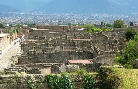 Pompei Ticket Vesúvio e Pompéia: Ingressos + Traslado de Pompéia