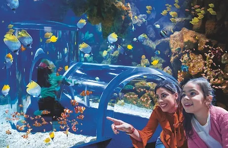 Las Palmas de Gran Canaria Ticket Poema del Mar - Acuario Gran Canaria: Entrada sin colas