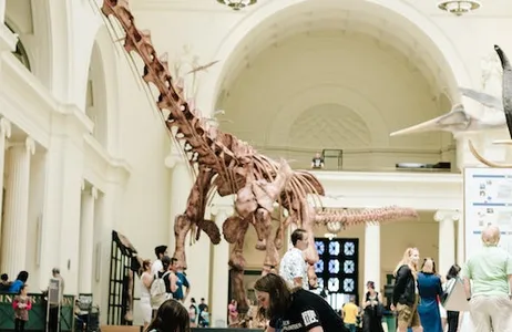 Chicago Ticket The Field Museum of Natural History: entrada geral