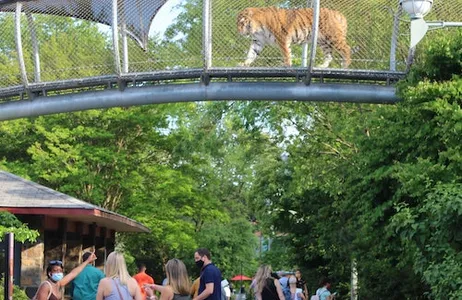 Philadelphia Ticket Zoológico da Filadélfia: ingresso geral