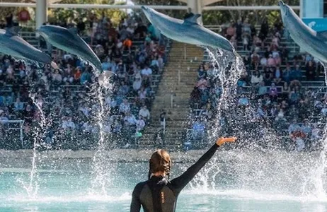 Main Beach Ticket 'Bilhete Sea World Single Day Pass''