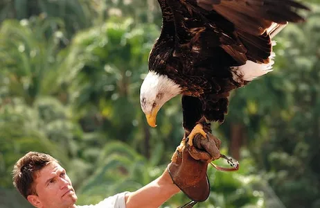 Maspalomas Ticket Palmitos Park: bilhete de entrada