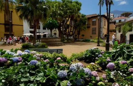 Icod de los Vinos Ticket Tenerife Dragão Árvore e Jardim Botânico