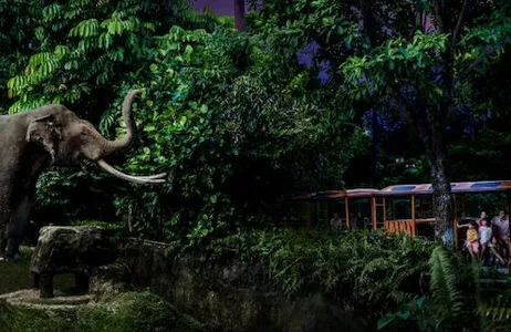 Singapur Ticket Singapore Night Safari with Tram Ride