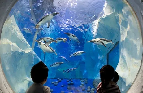 Birmingham Ticket SEA LIFE Birmingham: bilhete de entrada