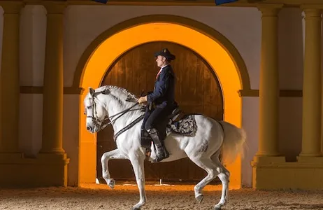 Jerez de la Frontera Ticket Real Escola Andaluza de Arte Equestre: Visita completa + Upgrade VIP opcional