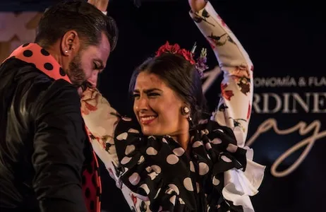 Granada Ticket Zoraya Gardens Granada: Show de Flamenco