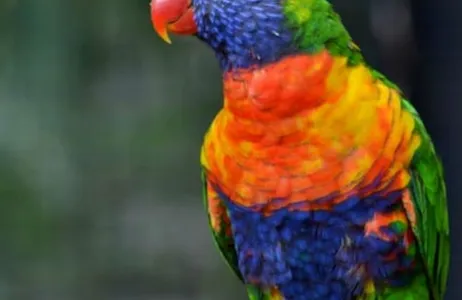 Estepona Ticket Selwo Aventura Estepona: Entry Ticket