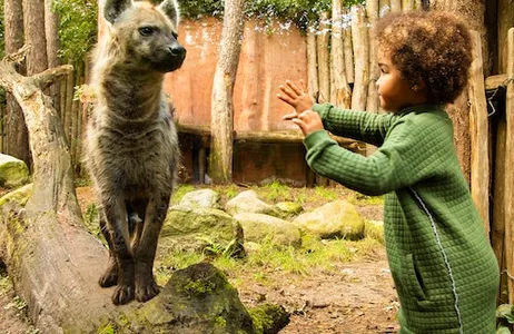 Amersfoort Ticket Zoológico de Amersfoort