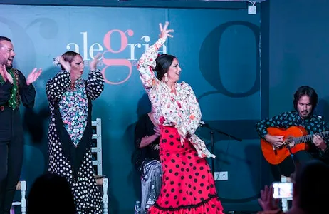 Málaga Ticket Alegría Málaga: Show de Flamenco