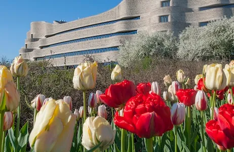 Gatineau Ticket Museu de História do Canadá: bilhete sem filas