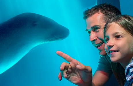 Mooloolaba Ticket SEA LIFE Sunshine Coast: bilhete de entrada