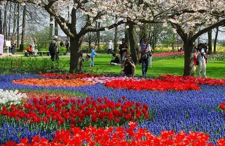 Ámsterdam Ticket Keukenhof: Visita Guiada + Visita a la Granja de Tulipanes + Crucero por los Molinos de Viento