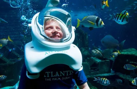 Dubai Ticket Dubai Atlantis: Aquaventure Waterpark + Shark Safari ou Snorkel Experience
