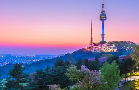 Seoul Ticket N Seoul Tower Observatory