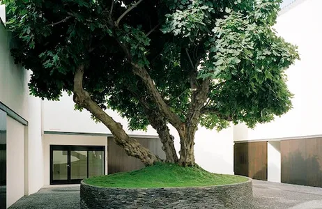Málaga Ticket Museo Picasso Málaga: tour guiado