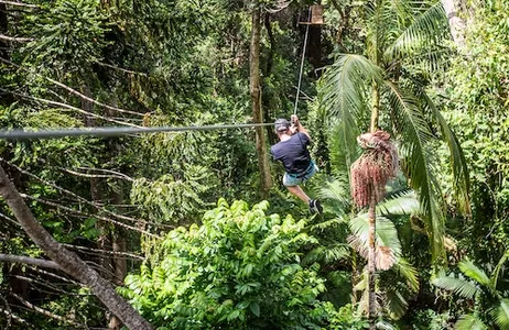 Woombye Ticket TreeTop Challenge no The Big Pineapple em Sunshine Coast