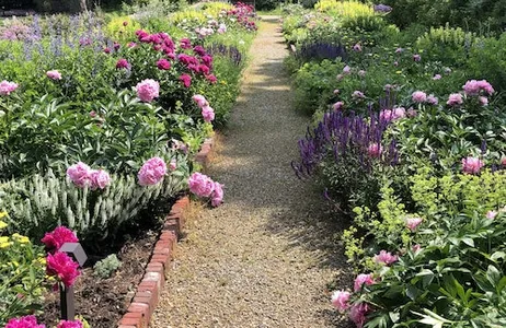 Derby Ticket Conservação Graycliff de Frank Lloyd Wright