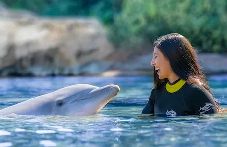 Orlando Ticket Discovery Cove
