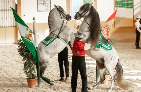 Málaga Ticket Club Hipico El Ranchito: espetáculo andaluz de cavalo e flamenco