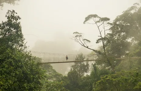 La Fortuna Ticket Parque Mistico Arenal de pontes suspensas: bilhete de entrada