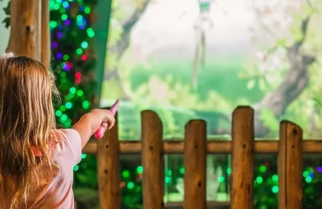 Pigeon Forge Ticket MagiQuest: General Combo Ticket