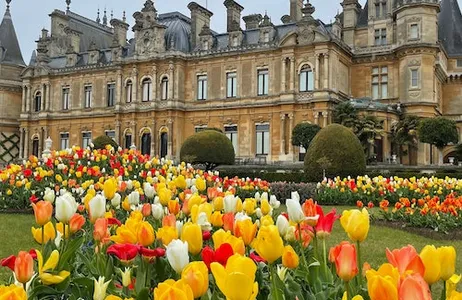 Aylesbury Ticket Terrenos na Waddesdon Manor