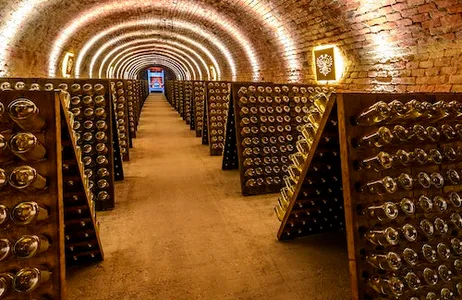 Vienna Ticket Schlumberger Cellar World: entrada + degustação opcional