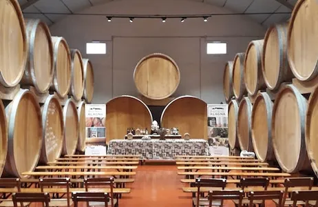 Marsala Ticket Degustação de vinhos na histórica Adega Alagna em Marsala