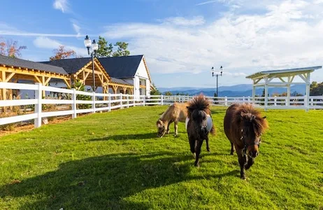 Sevierville Ticket Rancho Skyland: Bilhete de entrada + teleférico Scenic Skyride