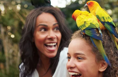 San Antonio Ticket Aquatica San Antonio: bilhete de acesso rápido