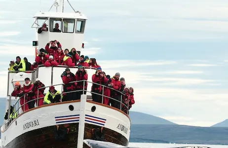 Húsavík Ticket Excursão silenciosa de observação de baleias saindo de Husavik