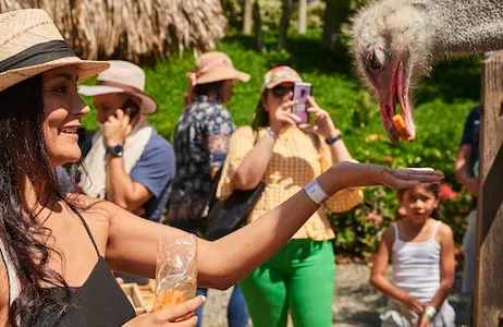 Quimbaya Ticket Parque Panaca