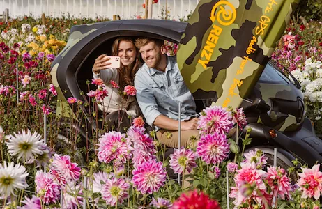Lisse Ticket Excursión en coche por las dunas y las flores de verano