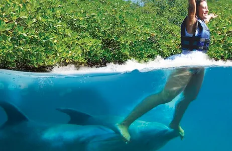 Playa del Carmen Ticket Xcaret Dolphin Tour Plus com Dolphin Swim