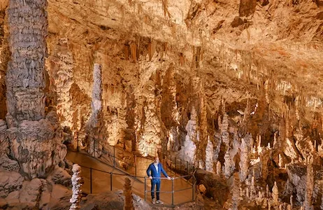 Postoina Ticket Caverna de Postojna e Castelo de Predjama: tour de meio dia desde Liubliana
