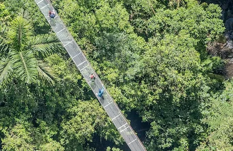 La Fortuna Ticket Visita guiada às pontes suspensas