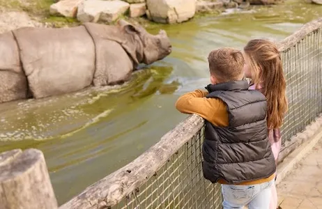 Mierlo Ticket Zoológico de Eindhoven