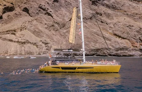 Costa Adeje Ticket Tenerife: Excursão de 4,5 horas para observação de baleias e golfinhos em Masca e Los Gigantes