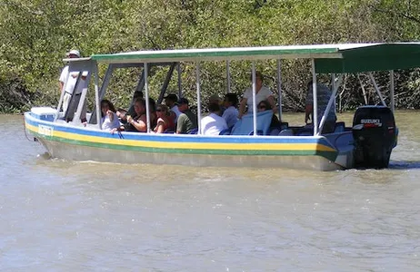 Liberia Ticket Parque Nacional de Palo Verde: Cruzeiro no Rio Jungle